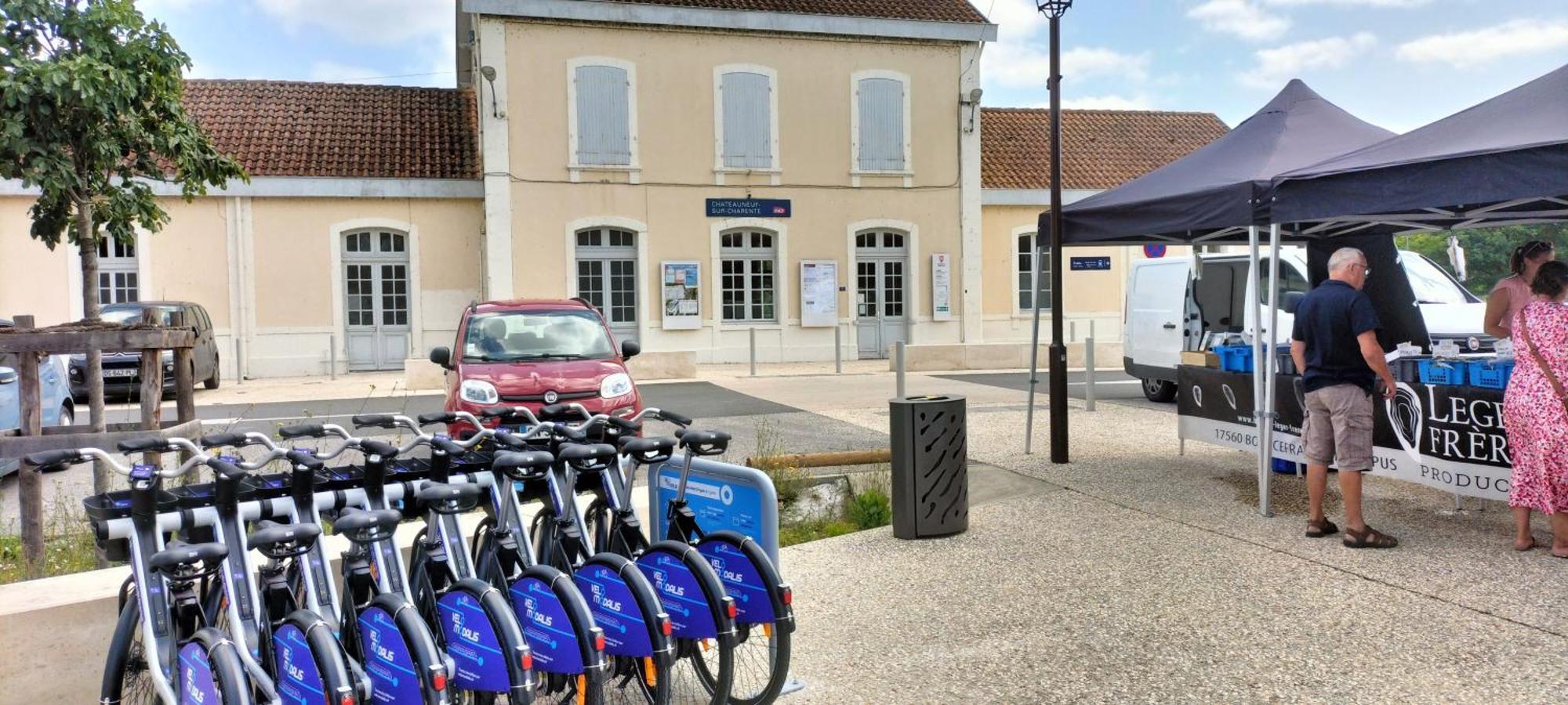 Apartamento Annexe Du Pont De La Charente Châteauneuf-sur-Charente Exterior foto